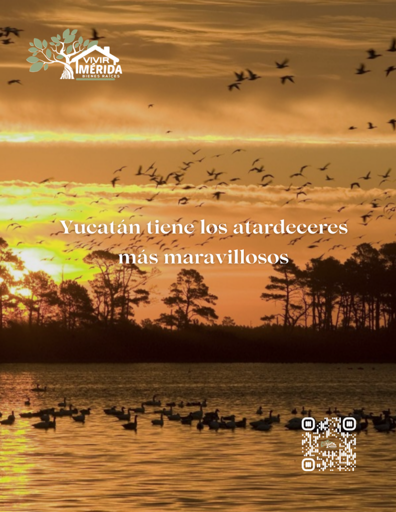 25192 inmobiliaria vivir merida 791x1024