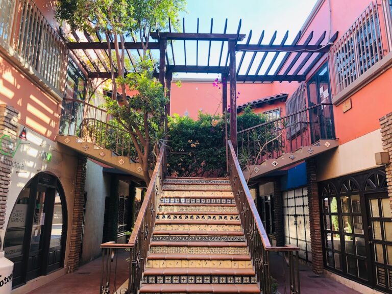 25223 notaria publica no 5 768x576