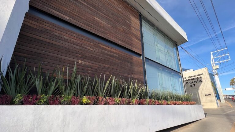 25556 notaria publica 37 768x432