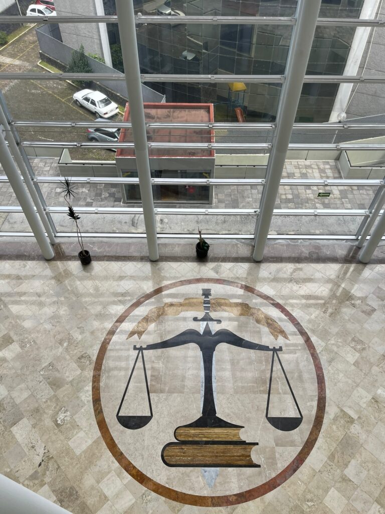 25992 lic.ma . isabel sanchez flores 8220consultoria legal8221 despacho de abogados asesoria juridica veracruz 768x1024