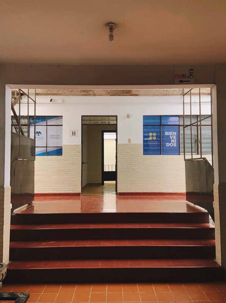 26214 contadores ronzon fiscalistas 768x1029