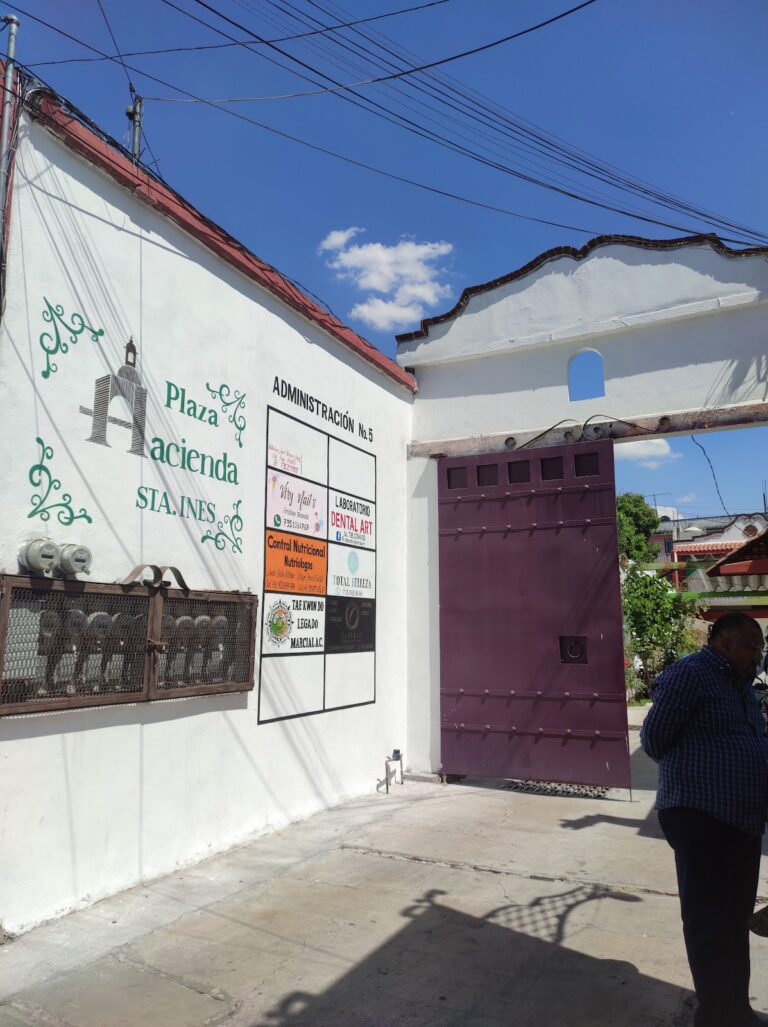 26251 bravo chavez y asociados 768x1027