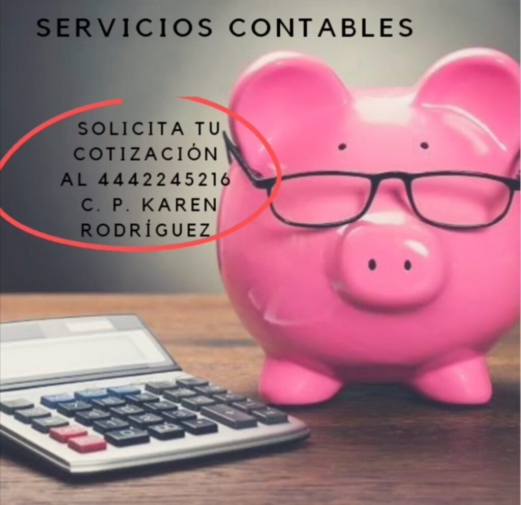 26322 contador publico karen rodriguez 1024x993
