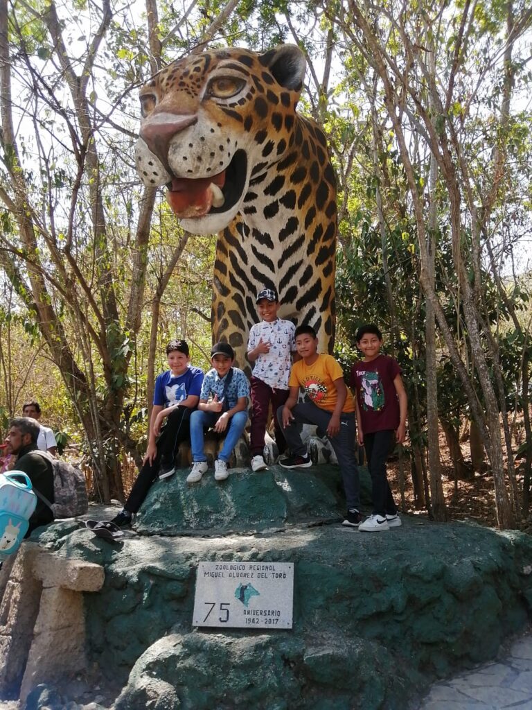 26532 agencia de viajes kayche san cristobal 768x1024