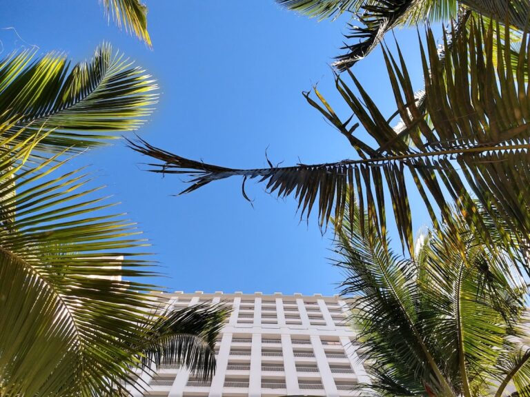 26608 viajes miranda 768x576