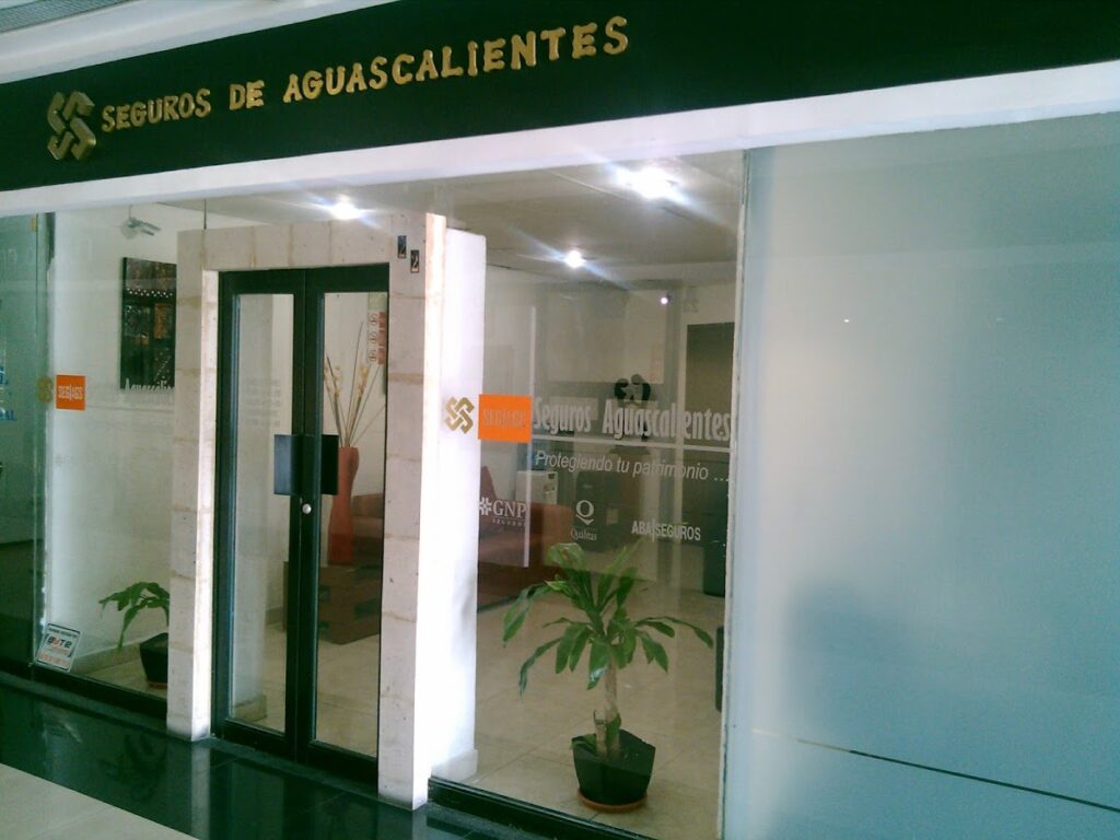 26830 seguros y fianzas aguascalientes 1024x768