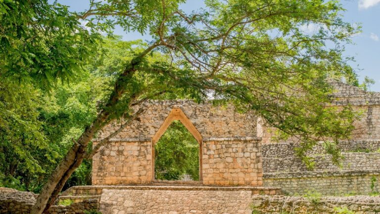 26836 mexigo tours 768x432