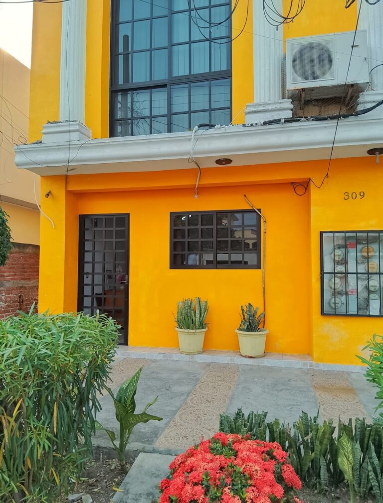 27237 gnp seguros 768x1008