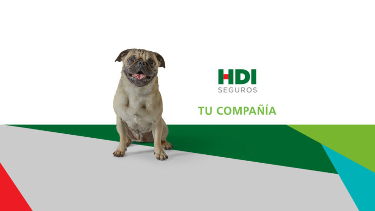 27263 hdi seguros zacatecas 768x432