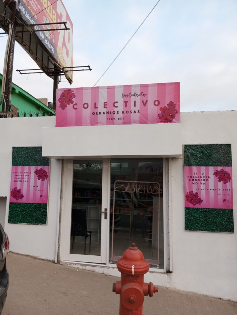 27614 colectivo geranios rosas 771x1024