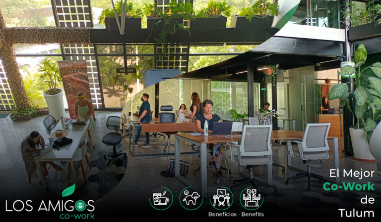 27896 coworking tulum business center 768x449