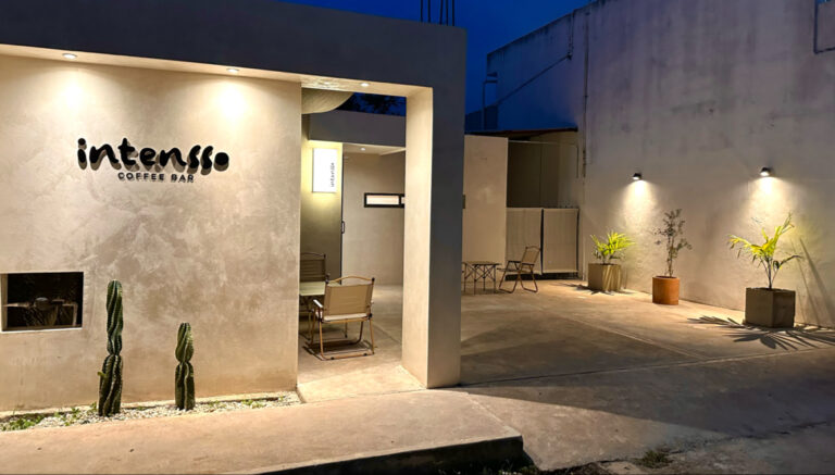 28020 intensso 768x437