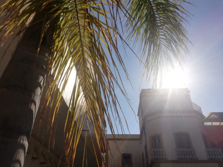 28172 instituto cultural mexicano norteamericano de jalisco 768x576