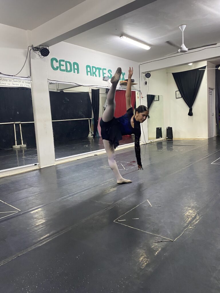 29113 ceda artes mx 768x1024