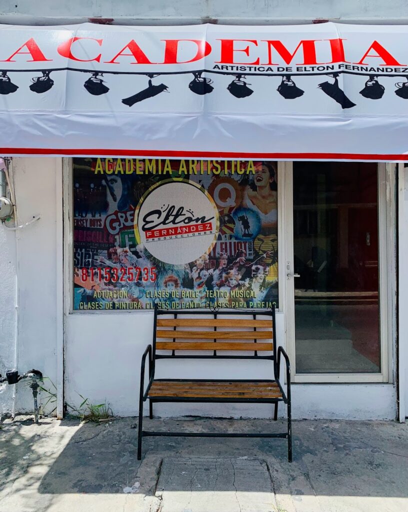 29312 academia artistica de elton fernandez 816x1024