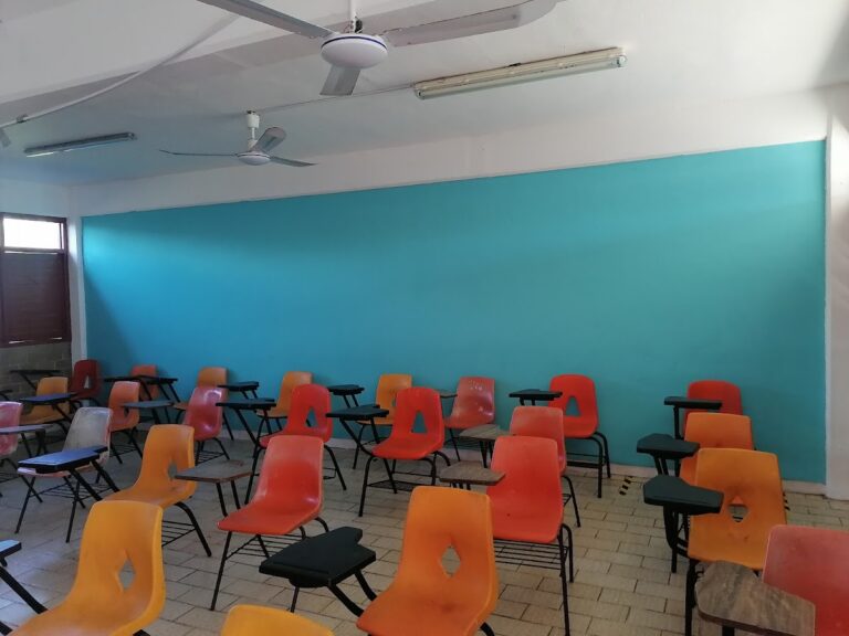 29655 escuela primaria jesus cetina salazar 768x576