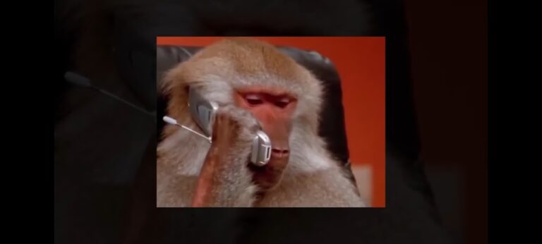 29689 escuela primaria francisco peralta galvez 768x346