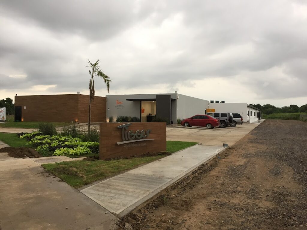 30449 guarderia de tigger 1024x768