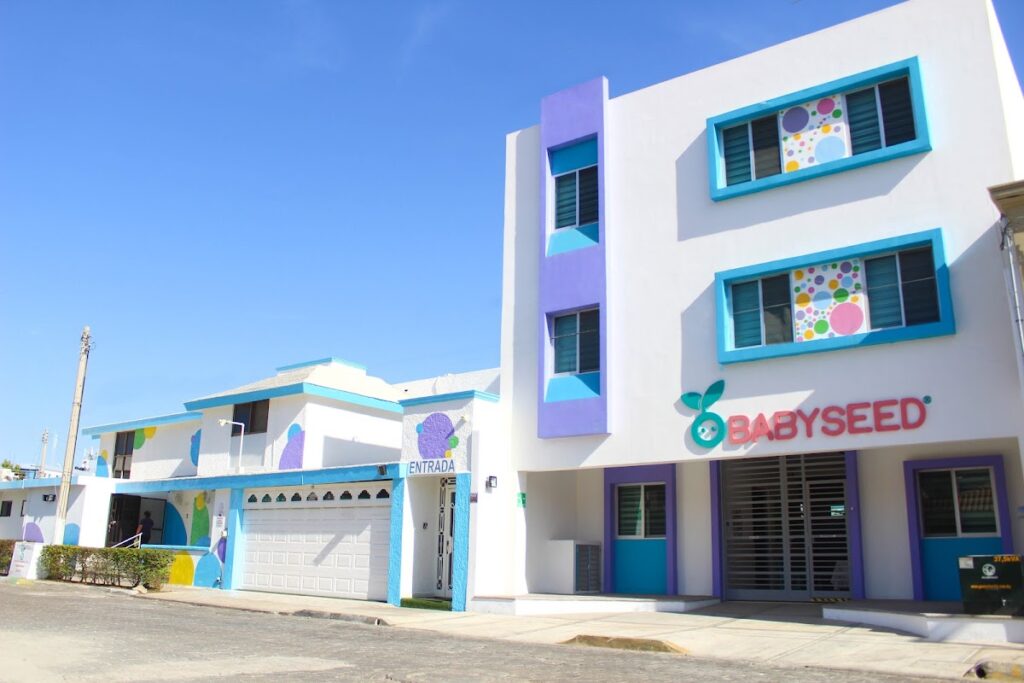 30506 babyseed 1024x683