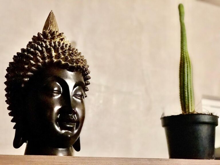 31350 zyanrooms 768x576