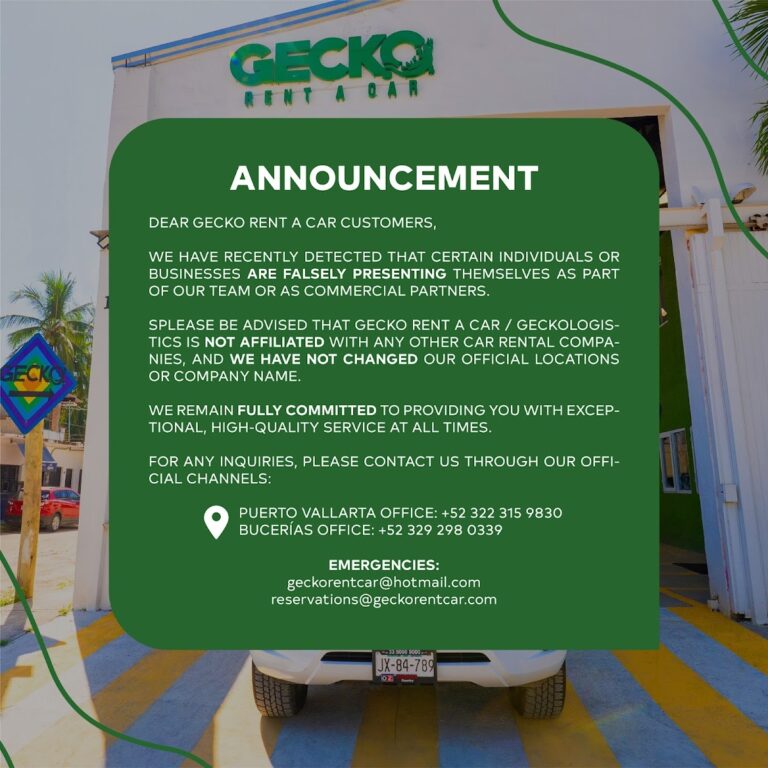 31629 gecko rent a car bucerias 768x768