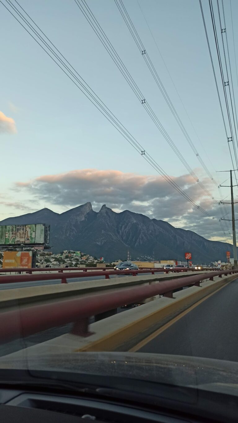 31642 aluux renta de autos. exclusivo para empresas monterrey 768x1365