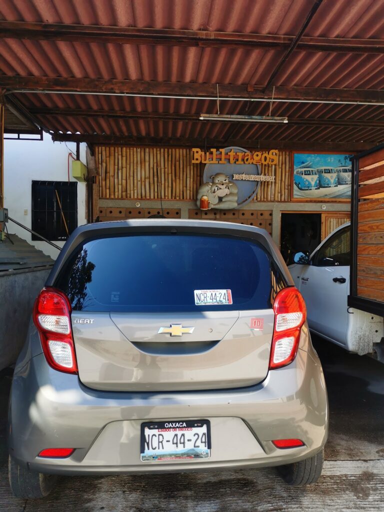 31652 bull cars rental 768x1024