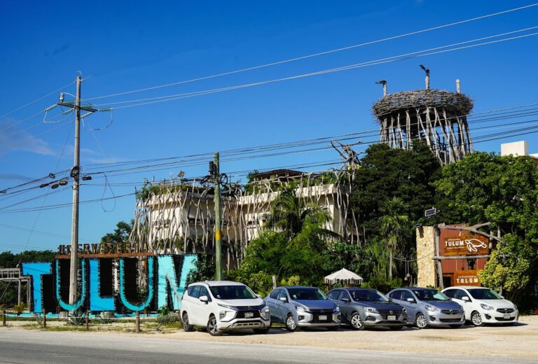 31695 car rental dassatil 768x520