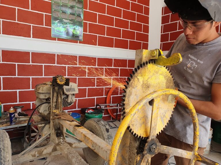 31932 maquinaria menor el toro 768x576