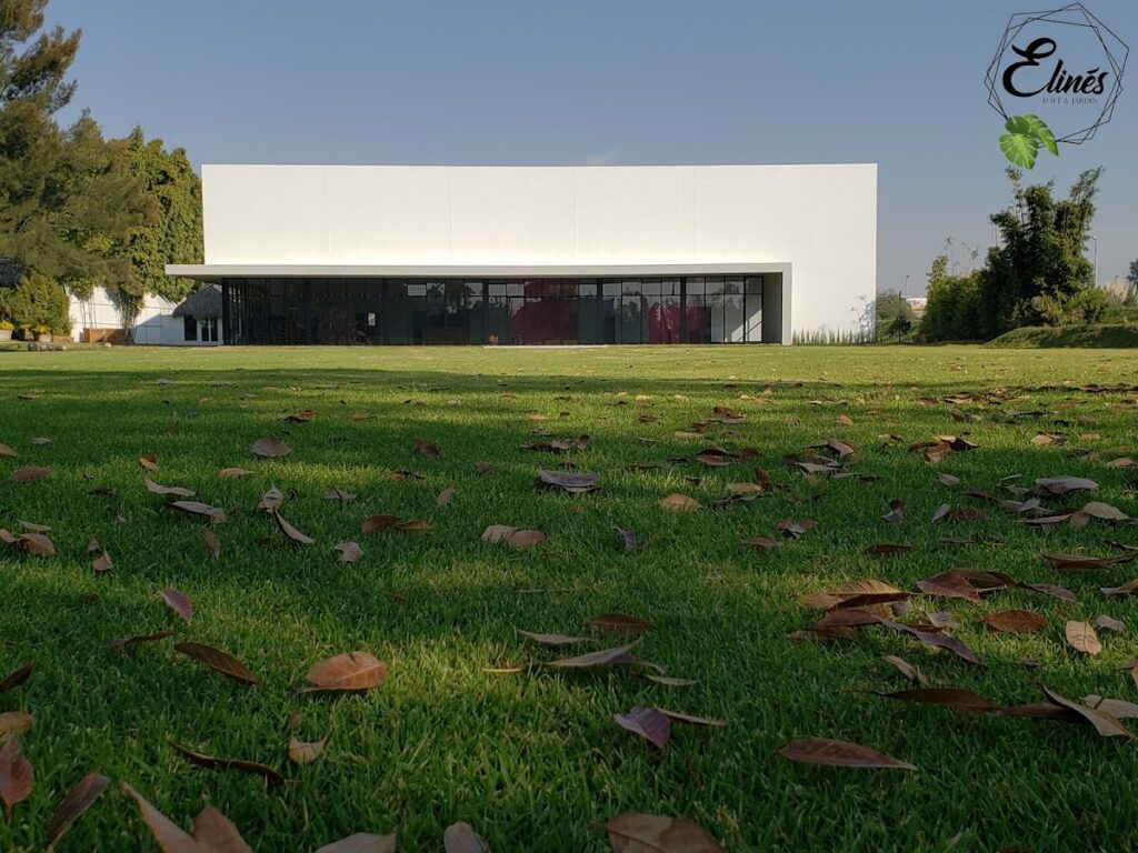 32328 elines loft jardin 1024x768