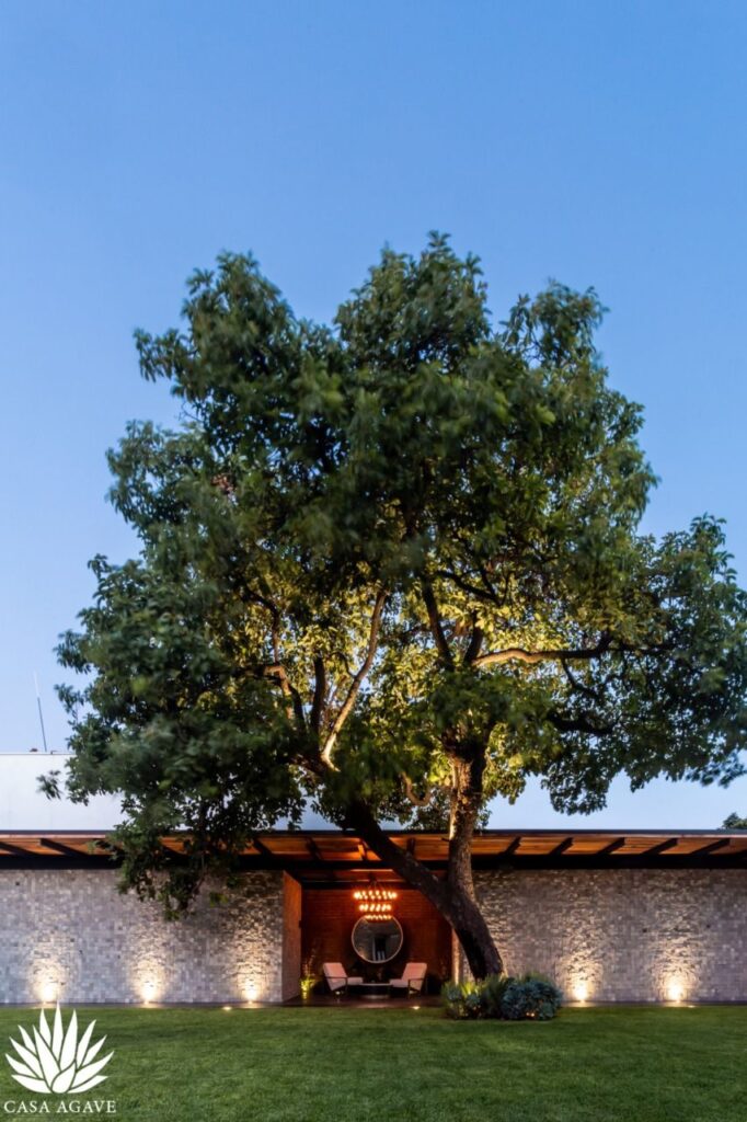 32373 casa agave eventos 682x1024