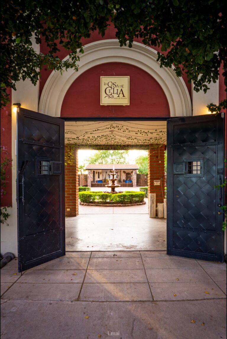 32907 salon de eventos la casa de celia jardin 768x1147