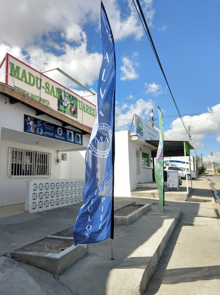 33759 duna articulos de piel 768x1029