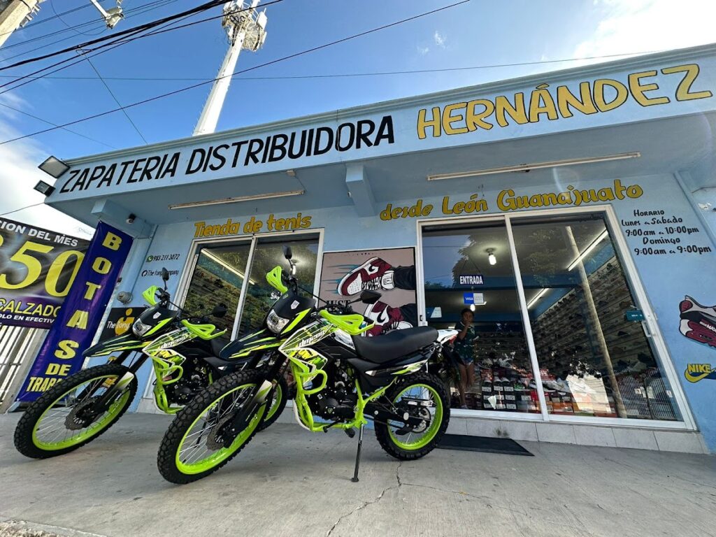 33953 zapateria la peninsula distribuidora hernandez 1024x768