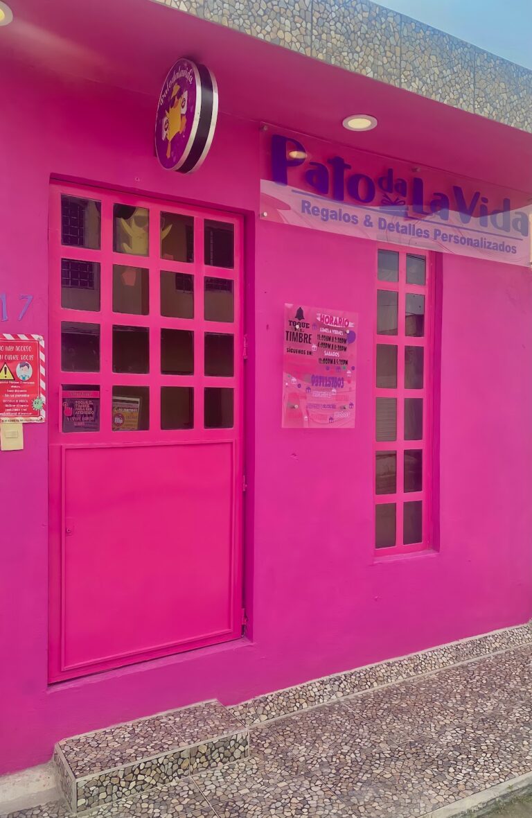 34822 patodalavida regalos y detalles 768x1180