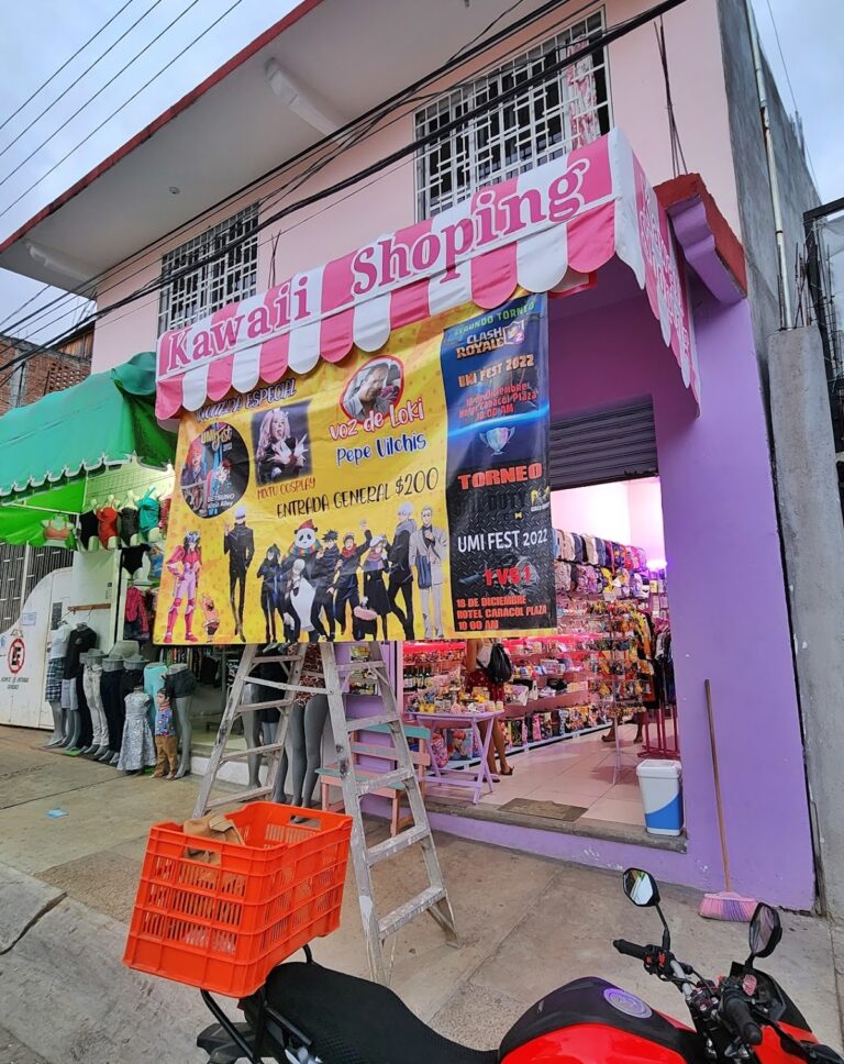 35082 kawaii shoping 768x968