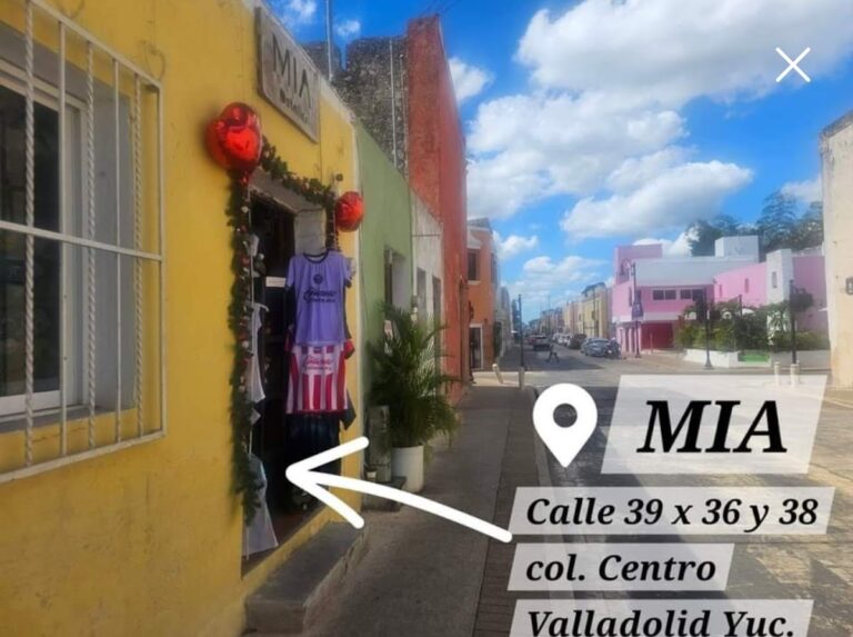 35163 detalles mia 768x573