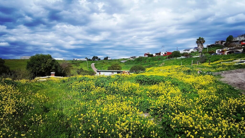 36223 jv ingenieria civil 1024x576