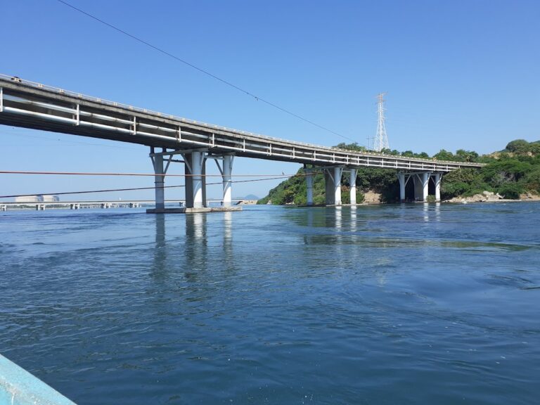 36305 ingenieria y obras del pacifico sa de cv 768x576