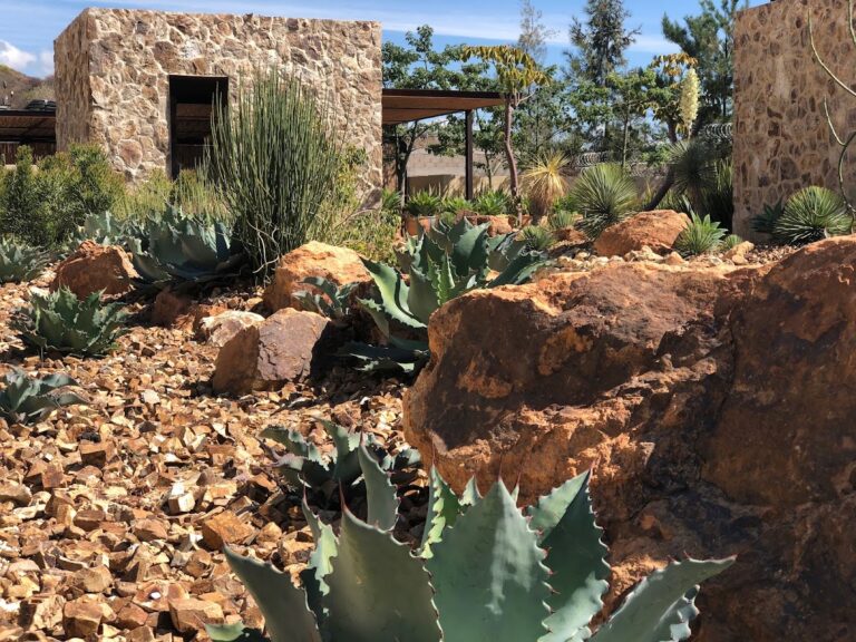 36532 nativo 768x576