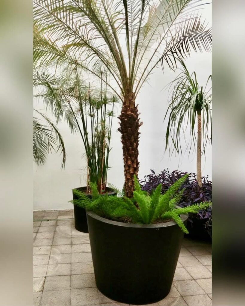 36546 8220viveros decogarden norte8221 819x1024