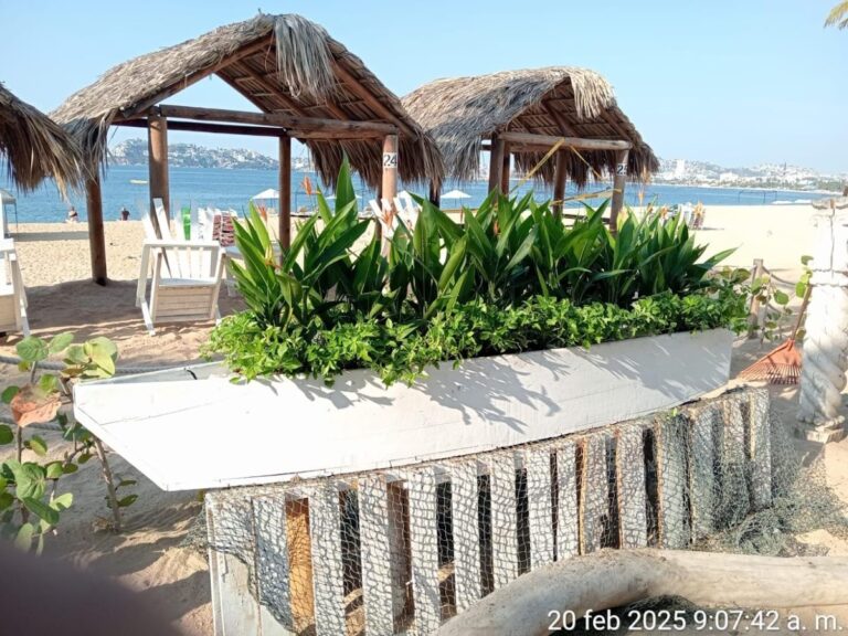 36649 jardineria yamamotos 768x576