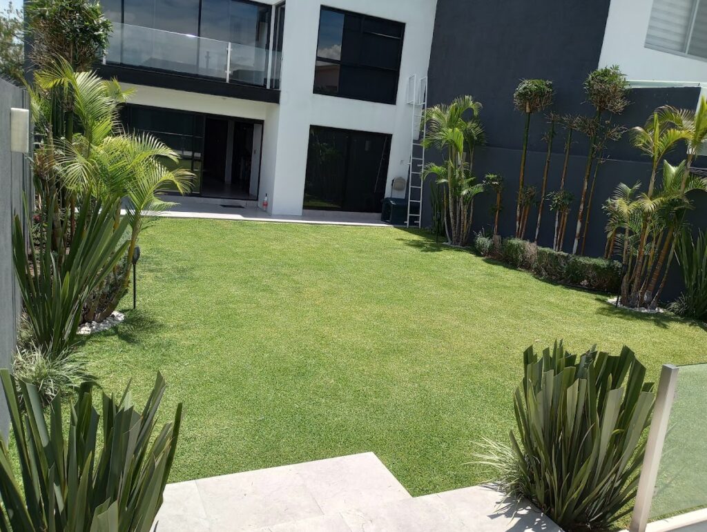 36678 servicio de jardineria en general don luis 1024x771