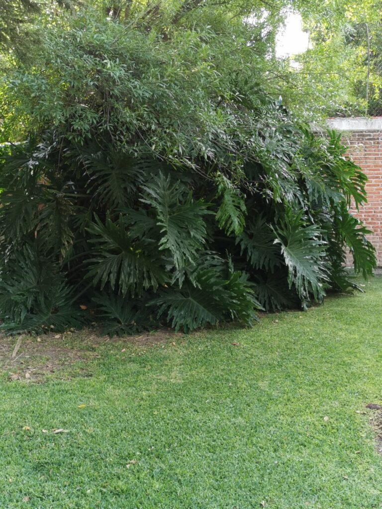 36683 instalacion y mantenimiento de riego y jardineria roman 768x1024