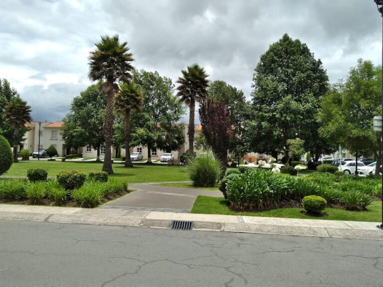 36690 jardineria verde mate jardineros paisajismo 768x576