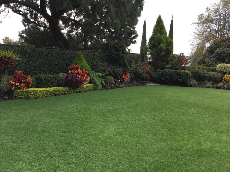 36720 eco casa y jardin 768x576