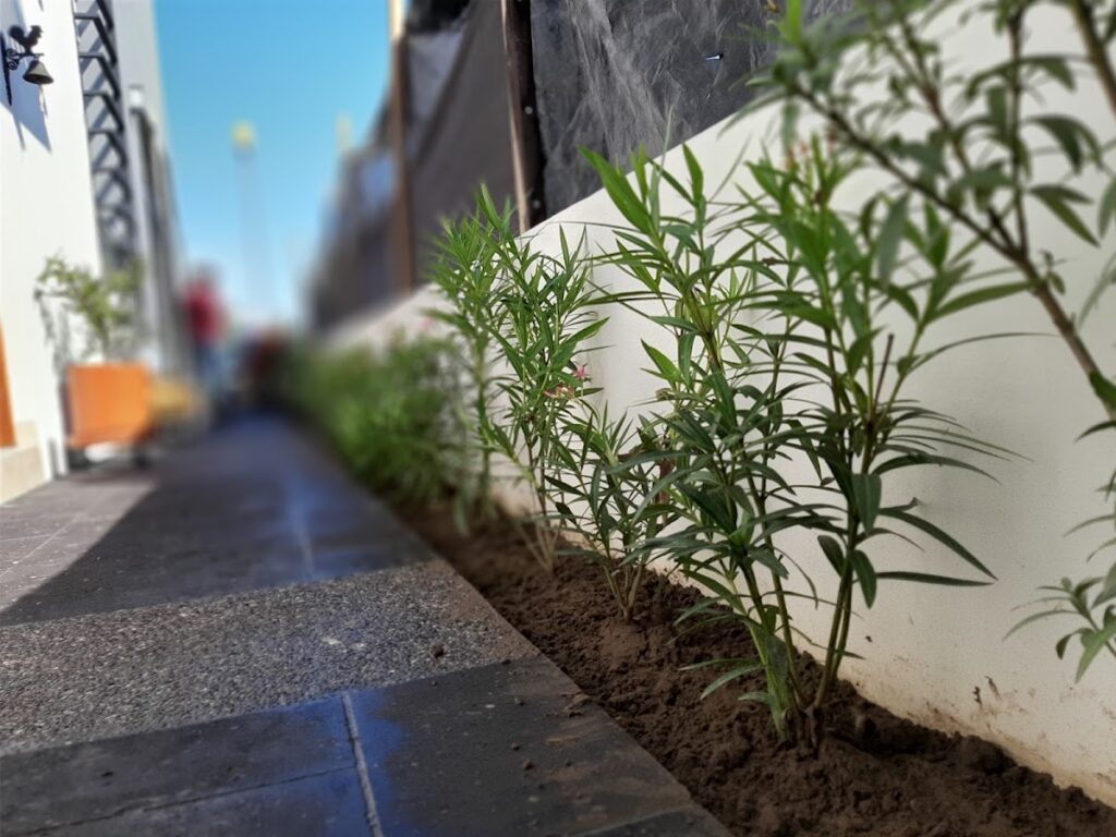 36727 m arquitectura del paisaje 1024x768