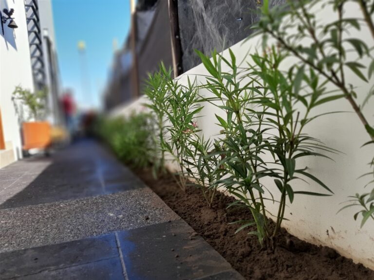 36727 m arquitectura del paisaje 768x576