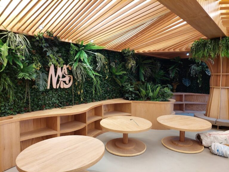 36741 marginata.com .mx  768x576