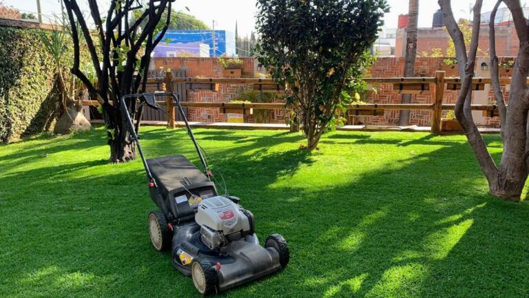 36766 jardineria juarez 768x432